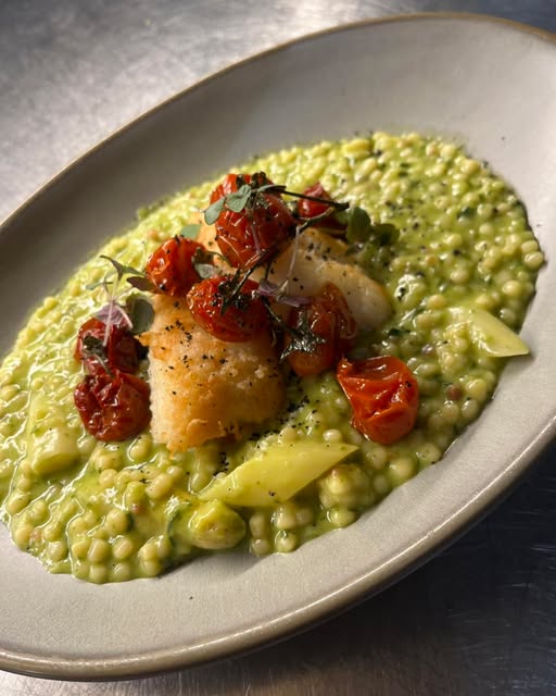 Fischgericht auf grünem Risotto mit geschmorten Tomaten